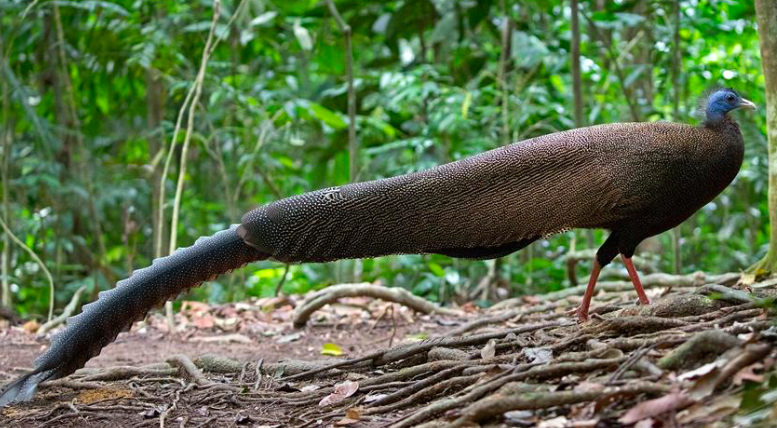 Screenshot 2020-04-05 21.22.47