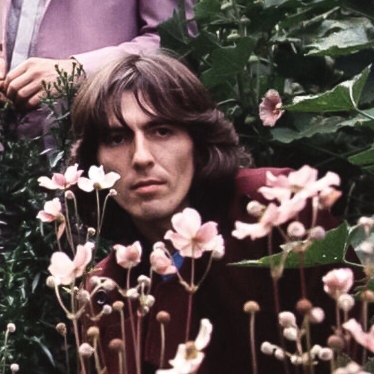 tumblr_pk08vt3lmk1ul3vf4_1280